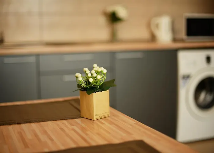 Apartment - Studio-1 Palanga